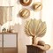 3 pcs Large Dried Palm Leaves Natural Dried Palm Spears Palm Fan Leaves Boho